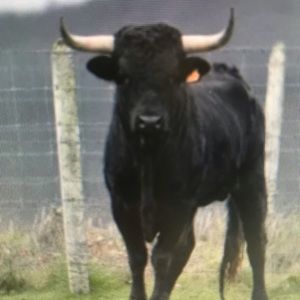 Meet your Posher, Quinn